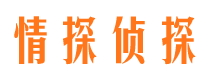 凤山侦探公司